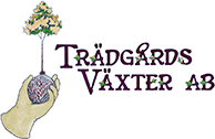 trädgård vaxter